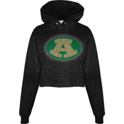 Logo with Optional Sleeves and Hood - Champion Powerblend® Fleece Cropped Hoodie Thumbnail