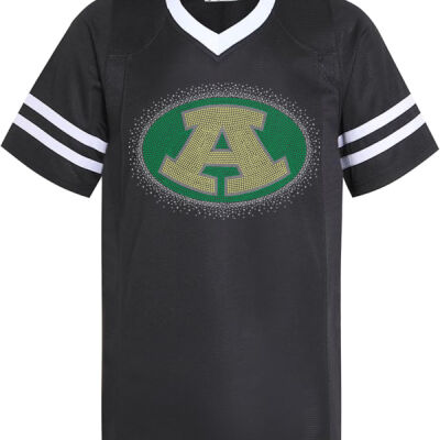 Logo and Mascot - Allstar Football Jersey Thumbnail